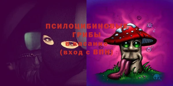 не бодяженный Аркадак