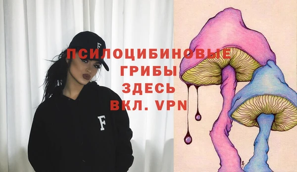 не бодяженный Аркадак