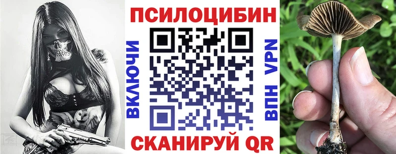 Псилоцибиновые грибы прущие грибы  Юрьевец 